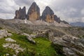 Drei Zinnen or Tre Cime di Lavaredo with beautiful flowering meadow Royalty Free Stock Photo