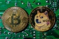 A Dogecoin and a Bitcoin on a green circuit board