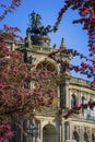 Dresden Semper Opera theatre Semperoper, front view in spring. Blooming branches on foreground. Royalty Free Stock Photo