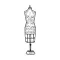 Dress form tailor sewing mannequin sketch vector