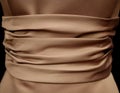 Dress with Ruched Bodice Royalty Free Stock Photo