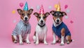 Dress up party dog with cute little Jack Russell terrier