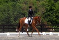 Dressage