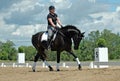 Dressage