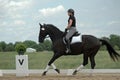 Dressage Royalty Free Stock Photo