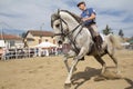 Dressage demonstrations Royalty Free Stock Photo