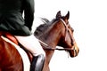 Dressage horse Royalty Free Stock Photo