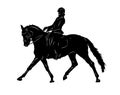 Dressage horse Illustration 