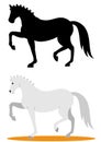 Dressage horse Royalty Free Stock Photo