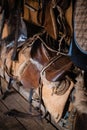 Dressage horse equipment, leather saddles and stirrups hang beautifully on a special wall Royalty Free Stock Photo