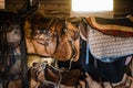 Dressage horse equipment, leather saddles and stirrups hang beautifully on a special wall Royalty Free Stock Photo