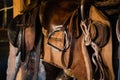 Dressage horse equipment, leather saddles and stirrups hang beautifully on a special wall Royalty Free Stock Photo