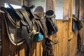 Dressage horse equipment, leather saddles and stirrups hang beautifully on a special wall Royalty Free Stock Photo