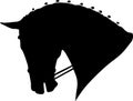 Dressage horse head Royalty Free Stock Photo