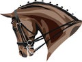 Dressage horse head