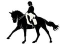 Dressage horse silhouette ~ Royalty Free Stock Photo