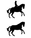 Dressage horse silhouette ~