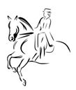 Dressage horse illustration ~