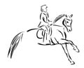 Dressage horse vector ~