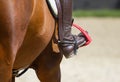 Dressage horse and rider Royalty Free Stock Photo