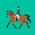 Dressage horse and rider, Equestrian sport Royalty Free Stock Photo