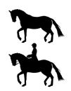 Dressage horse silhouette ~