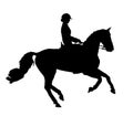 Dressage horse silhouette Royalty Free Stock Photo