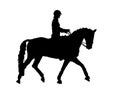 Dressage horse silhouette Royalty Free Stock Photo