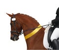 Dressage Horse with Yellow Ribbon