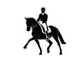 Dressage horses