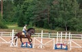 Young girl rider on a dressage in the park on a slender horse. Royalty Free Stock Photo