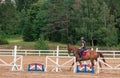 Young girl rider on a dressage in the park on a slender horse. Royalty Free Stock Photo