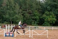 Young girl rider on a dressage in the park on a slender horse. Royalty Free Stock Photo