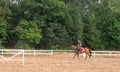 Young girl rider on a dressage in the park on a slender horse. Royalty Free Stock Photo