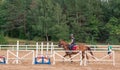 Young girl rider on a dressage in the park on a slender horse. Royalty Free Stock Photo