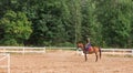 Young girl rider on a dressage in the park on a slender horse. Royalty Free Stock Photo