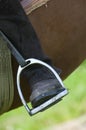Dressage rider and horse closeup boot in stirrup detail