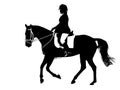 Dressage Silhouette Royalty Free Stock Photo