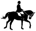Dressage Silhouette Royalty Free Stock Photo