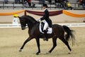 Dressage world cup