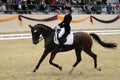 Dressage world cup