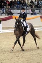 Dressage world cup