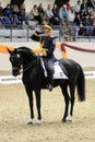 Dressage world cup Royalty Free Stock Photo