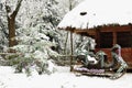 Dressed Christmas tree, old wooden cottage and Santa Claus sleigh in a tranquil winter forest.