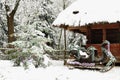 Dressed Christmas tree, old wooden cottage and Santa Claus sleigh in a tranquil winter forest. Royalty Free Stock Photo