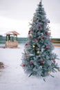 Dressed christmas tree outdoors in a village
