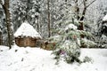 Dressed Christmas tree and small wooden hut in a tranquil winter forest.