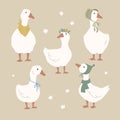 Dressed cute geese, farm birds collection