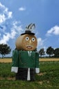 Giant straw doll  dressed as the officer of the guard Royalty Free Stock Photo