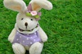 Dressed Easter bunny on green Grass